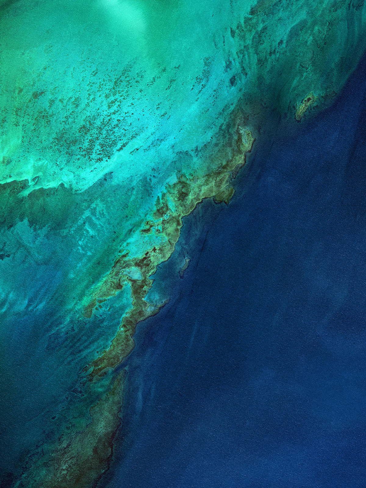 wallpaper